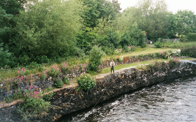 Fisherman Salmonweir